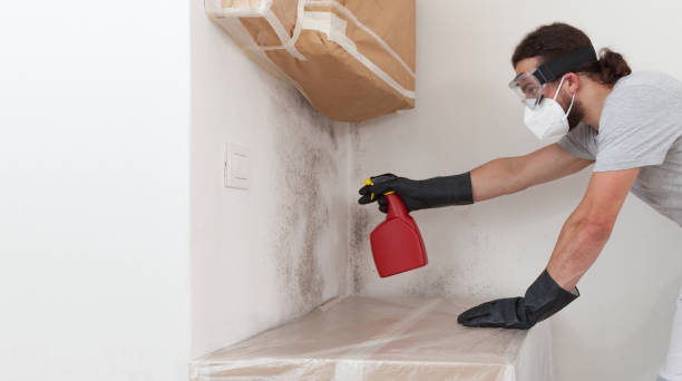 Professional Mold Removal technician working in Pompton Lakes, NJ